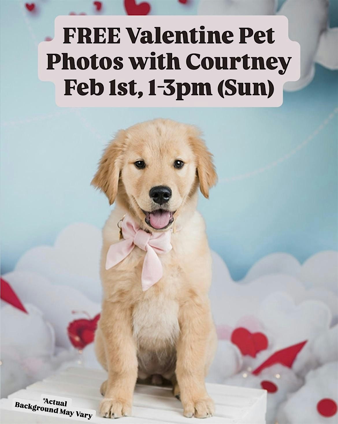 FREE Valentine Pet Photos with Courtney, Hey, I Thought Of You, Chicago ... FREE Valentine Pet Photos with Courtney, Hey, I Thought Of You, Chicago ...