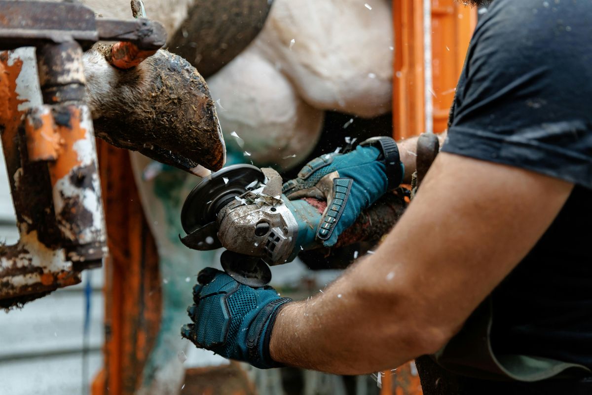 Dairy Cattle Hoof Trimming Workshop