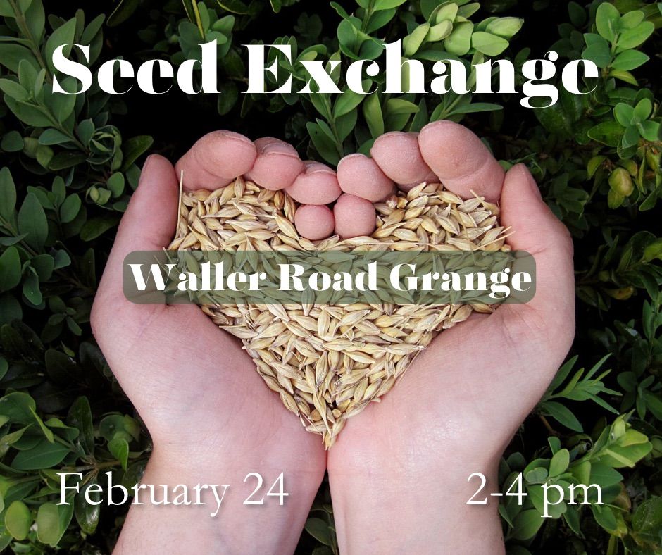 Waller Road Grange Seed Exchange, Waller Road Grange, February