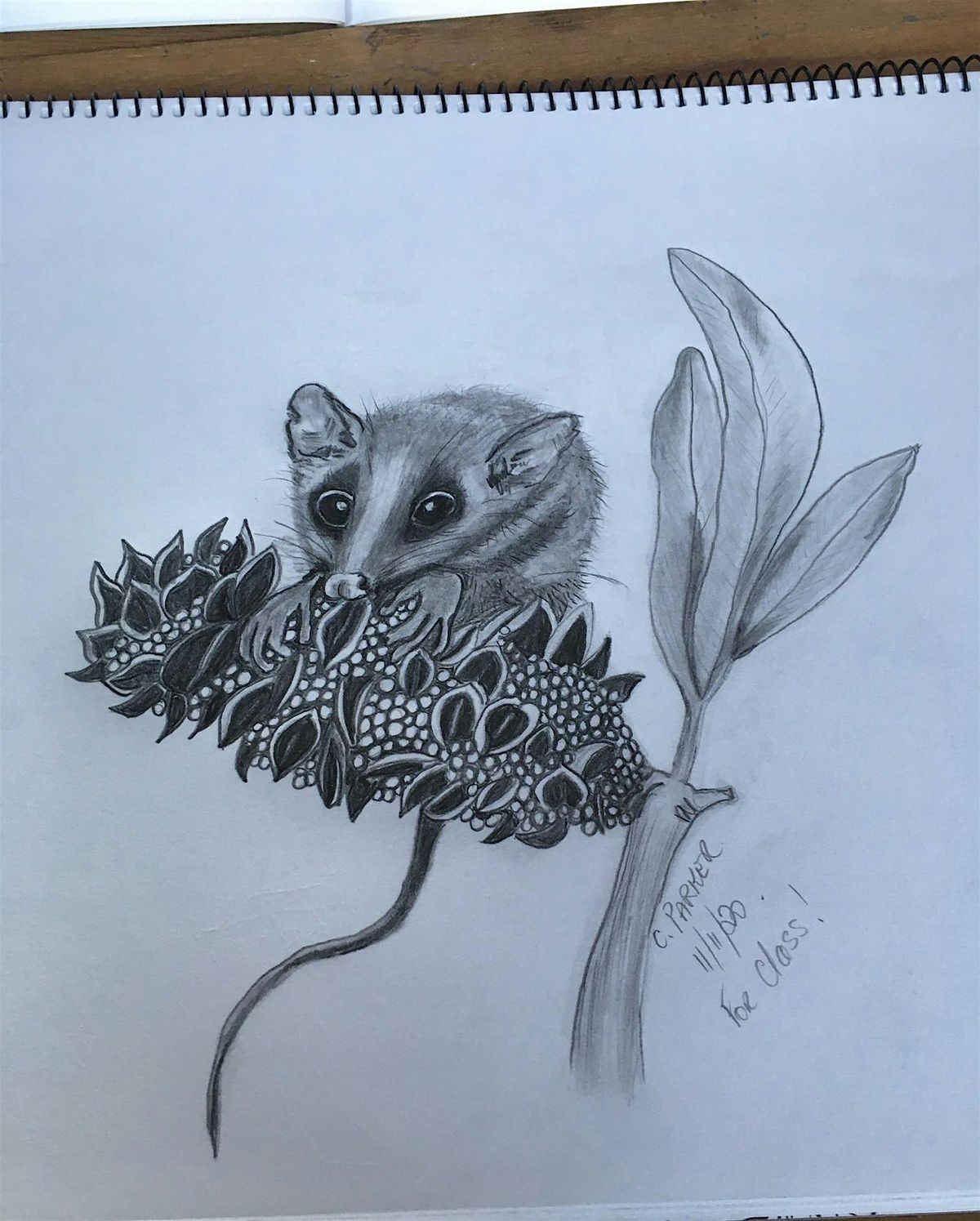 Fundamental Drawing Class Term 2 2024, Anglesea Art House, 18 April