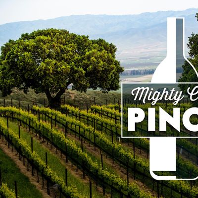Mighty Cool Pinot - A Wine & Food Event at Tower23 San Diego