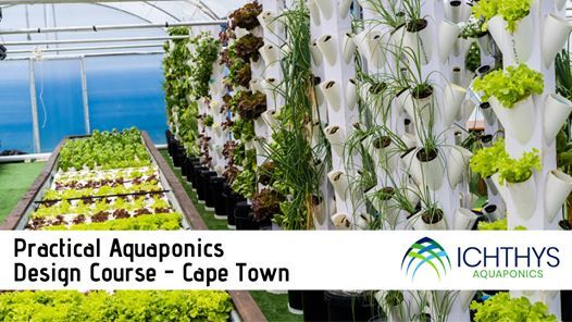 3 Day Aquaponics Design Course Paarl Wcape R 3 100 To R 3 600