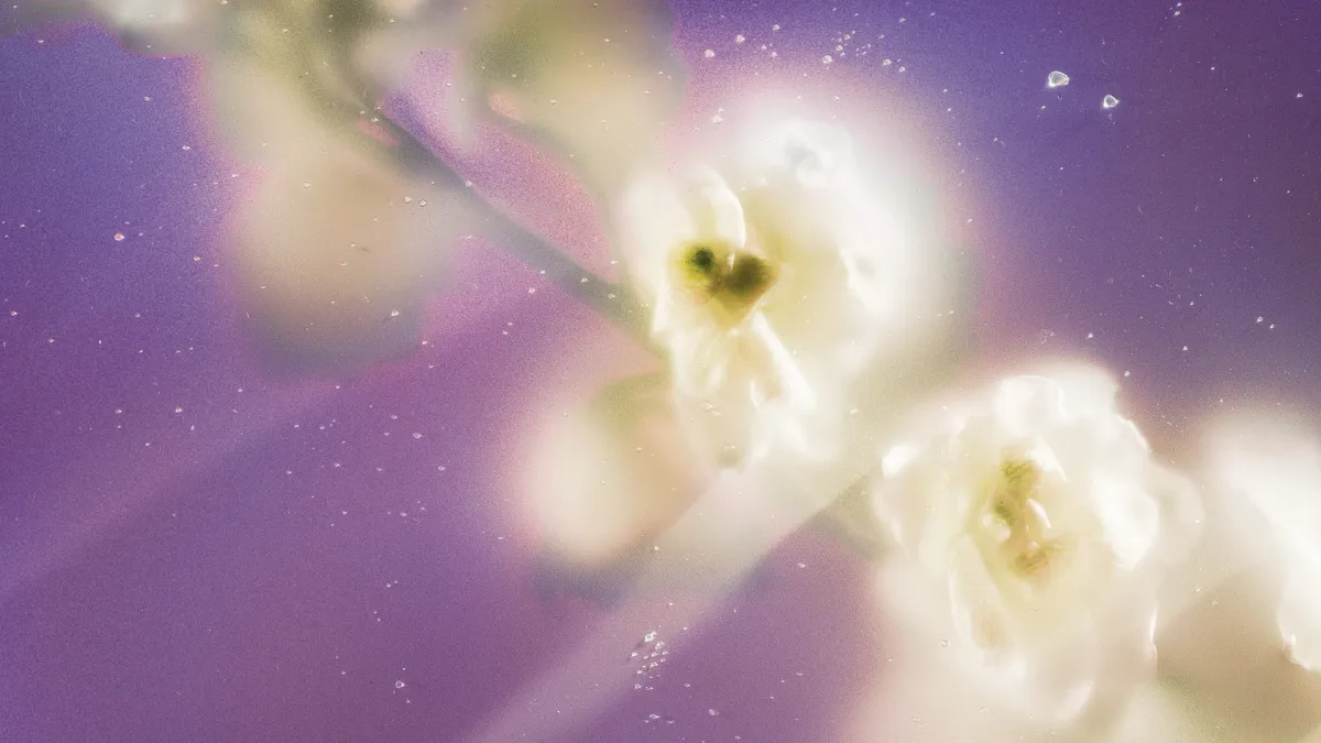 Cassandra Jenkins in Chicago, 24 January | Event in Chicago | AllEvents