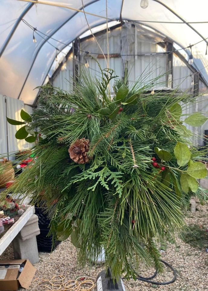 Kissing Ball Kathryn’s Flowers Delaware, Seaford, December 8