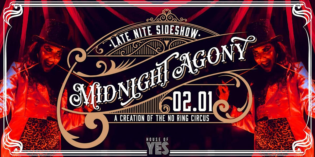Midnight Agony Late Night Sideshow, House of Yes, Brooklyn, February 1 to February 2
