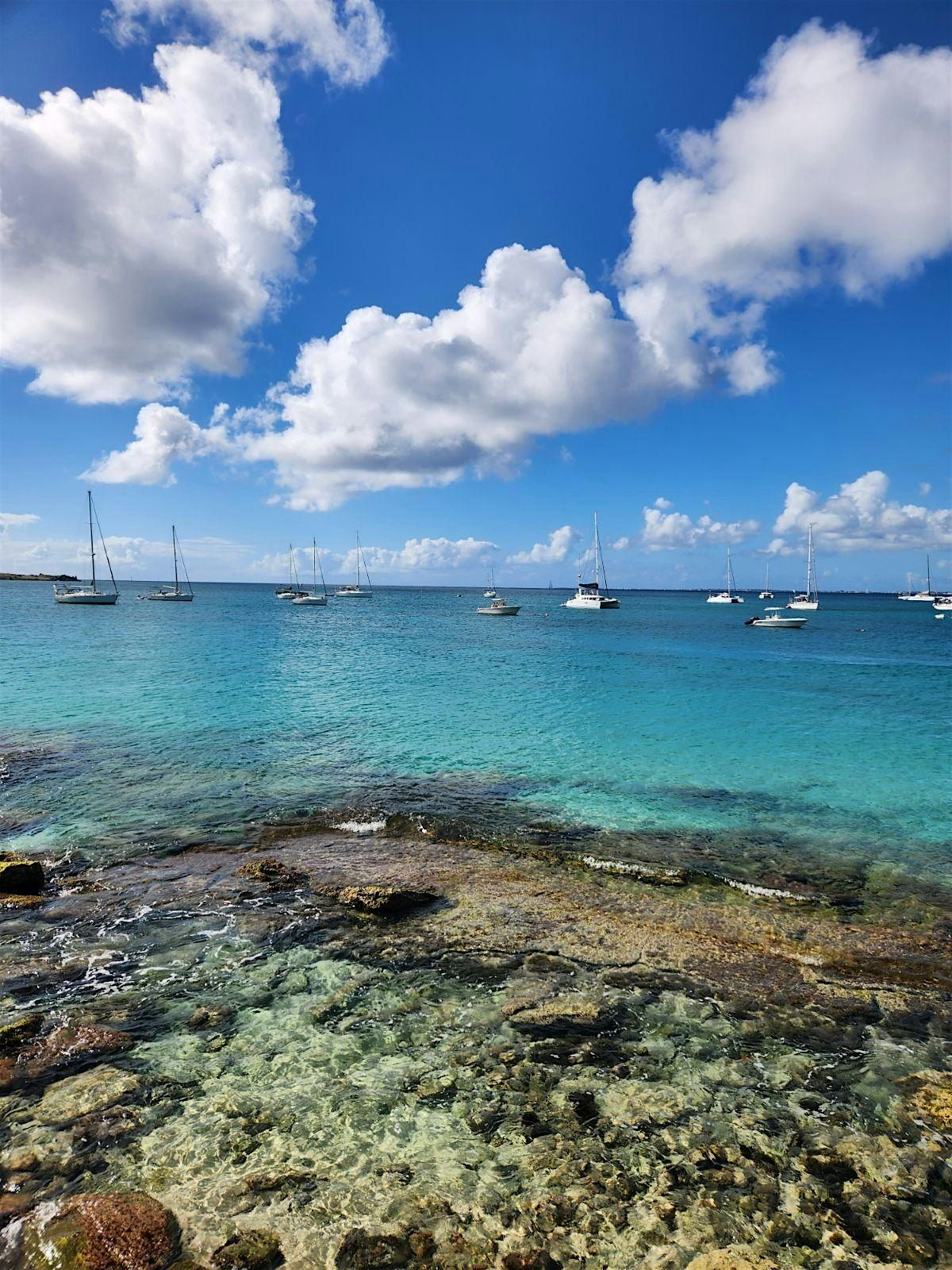 Afternoon Immersive Ocean Meditation Experience in St Maarten, Grand