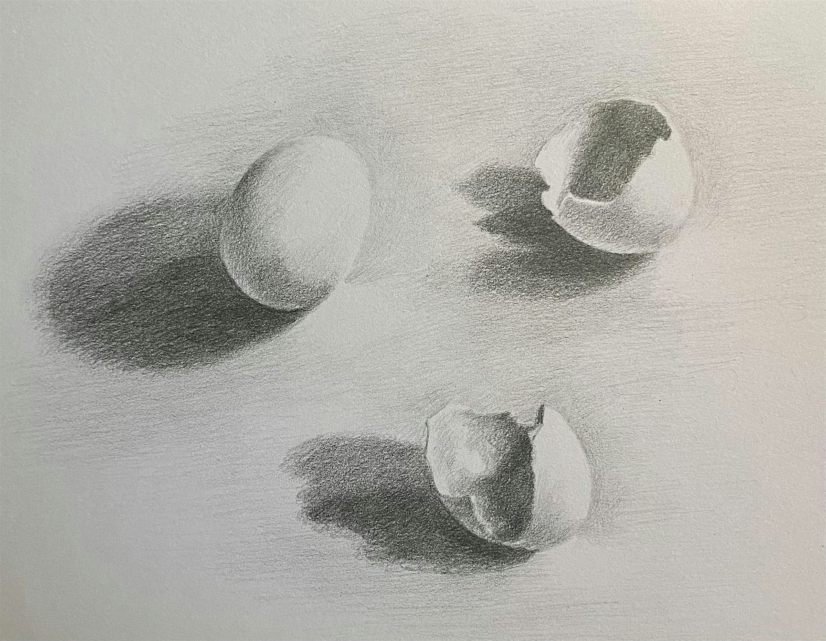 Observational drawing classes