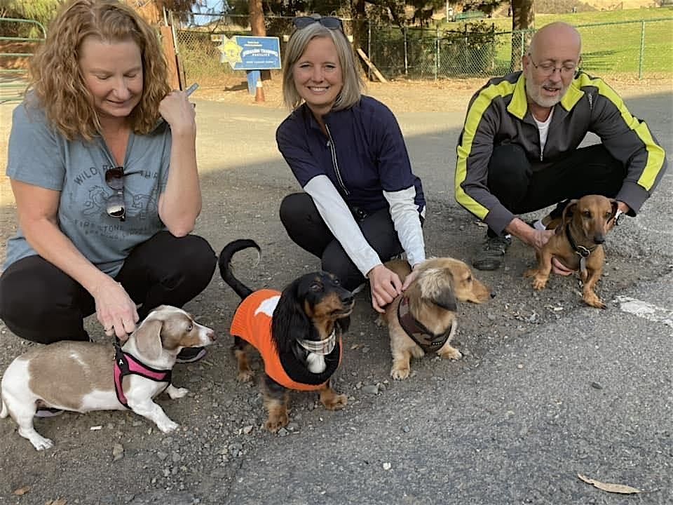 Munch & Friends, a Dachshund Hike and Meetup in Walnut Creek, CA | Event in Walnut Creek | AllEvents