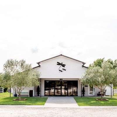 LVP Dragonfly Farms FL logo