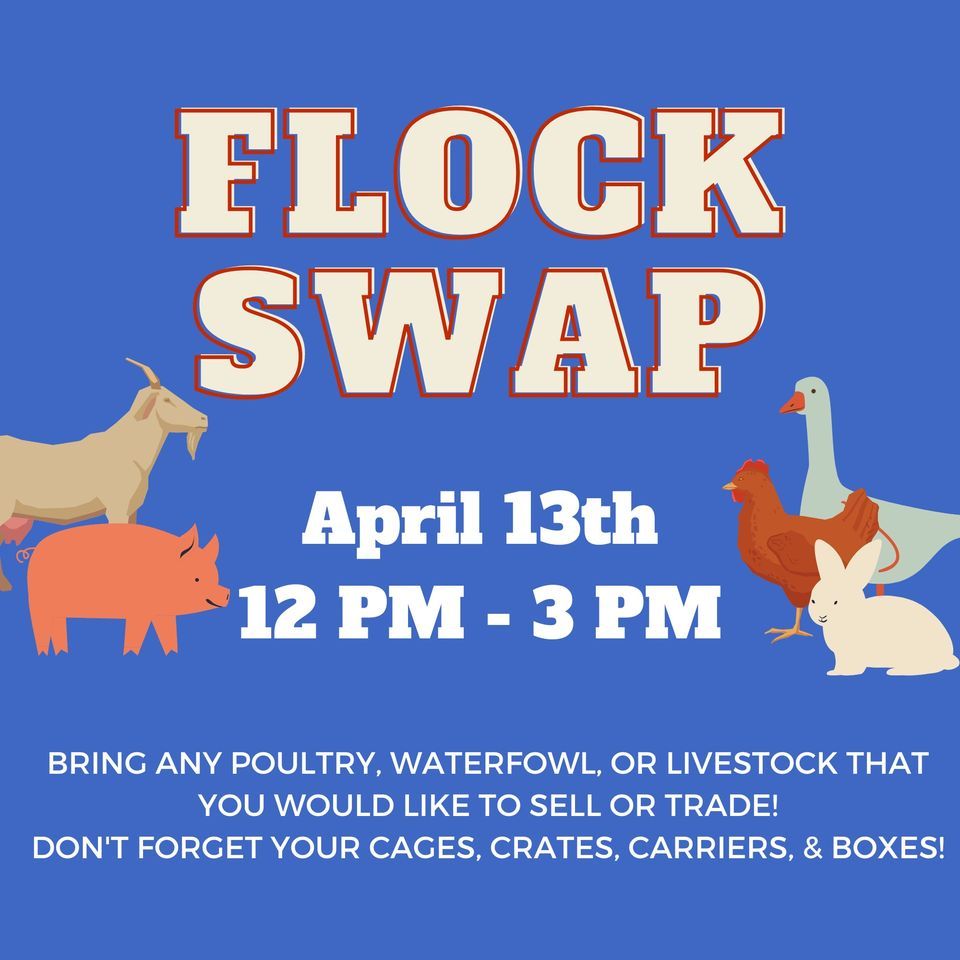 Flock Swap, 83 Dunbarton Farm Rd, Blue Ridge, GA, April 13 2024