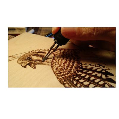 Art of Fire with Sharon logo