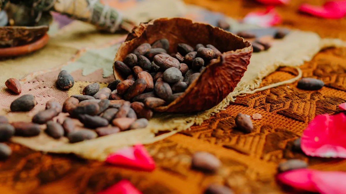 Mose in Ajijic, 12 December | Event in Ajijic | AllEvents