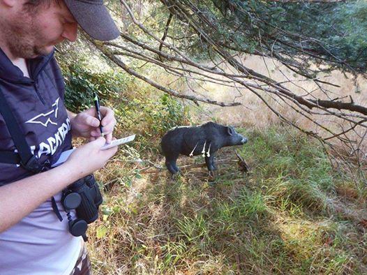 Semiahmoo Archers August 3d Shoot At 1284 184 St Surrey Bc V3z 9r9 Canada White Rock