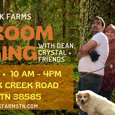 Mushroom Forage  Long Fork Farms
