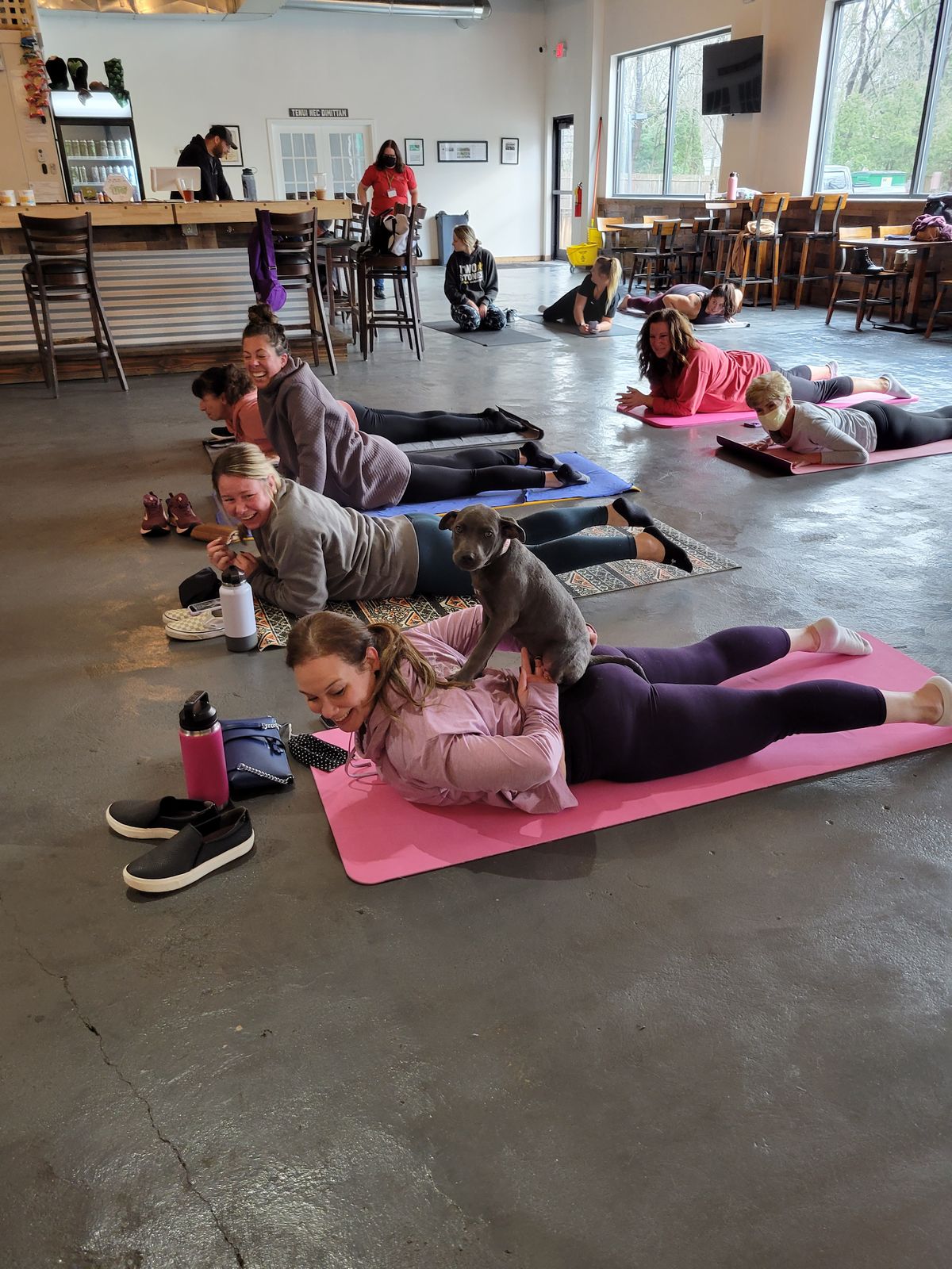 DNYP Barks, Bends, and Beer at Bellefonte Brandywine!, Bellefonte