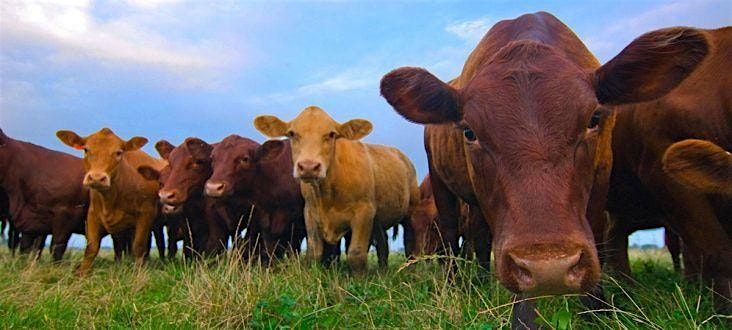 Husker Harvest Days, 9 September | Event in Grand Island | AllEvents