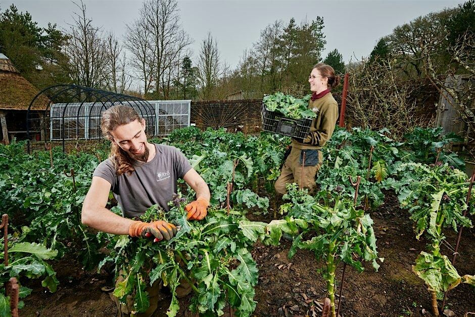 Horticulture Careers Discovery Week Discover RHS Apprenticeships