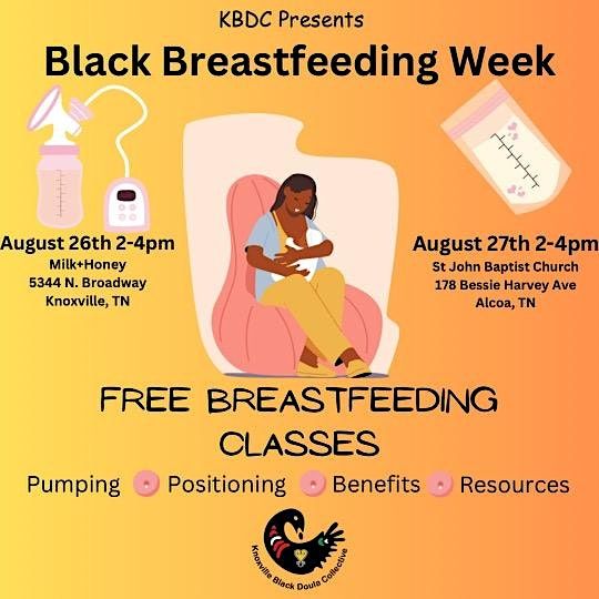 Black Breastfeeding Week 2025 Free Breastfeeding Classes, Milk+Honey