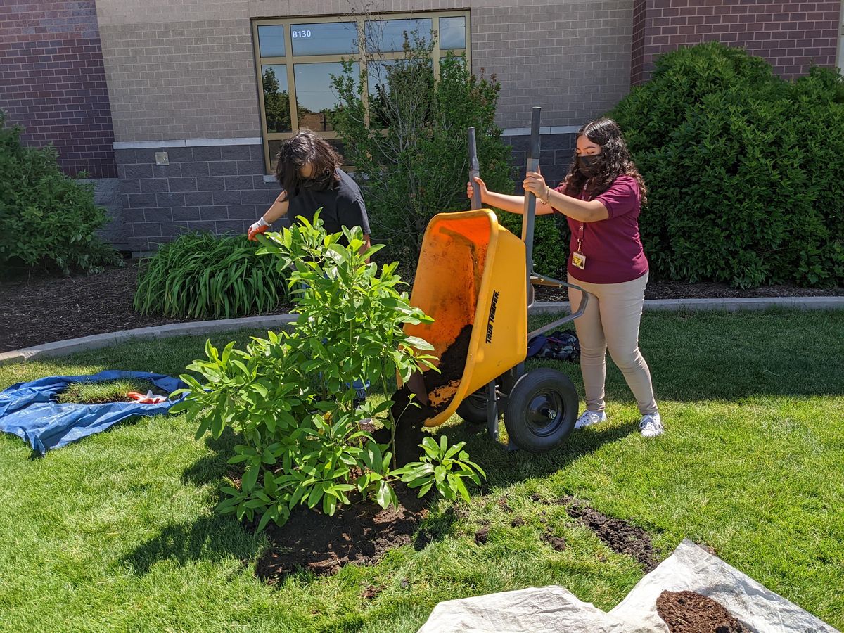 Prosser Community Garden Tree Planting, 2148 N Long Ave, Chicago, 6 May