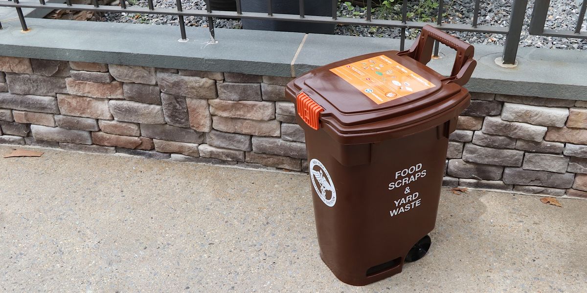 DSNY Brown Bin Giveaway Event Clinton Hill Library, Clinton Hill