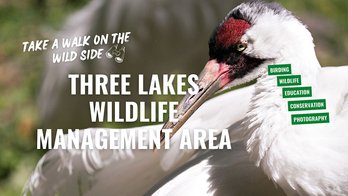 Three Lakes Wildlife Management Area, Three Lakes Wildlife Management Three Lakes Wildlife Management Area, Three Lakes Wildlife Management
