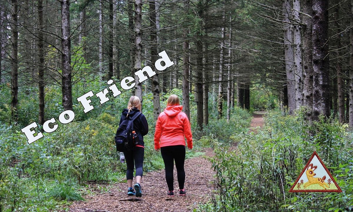Brownie Eco Friend Badge January 28, January 28 2021 Online Event