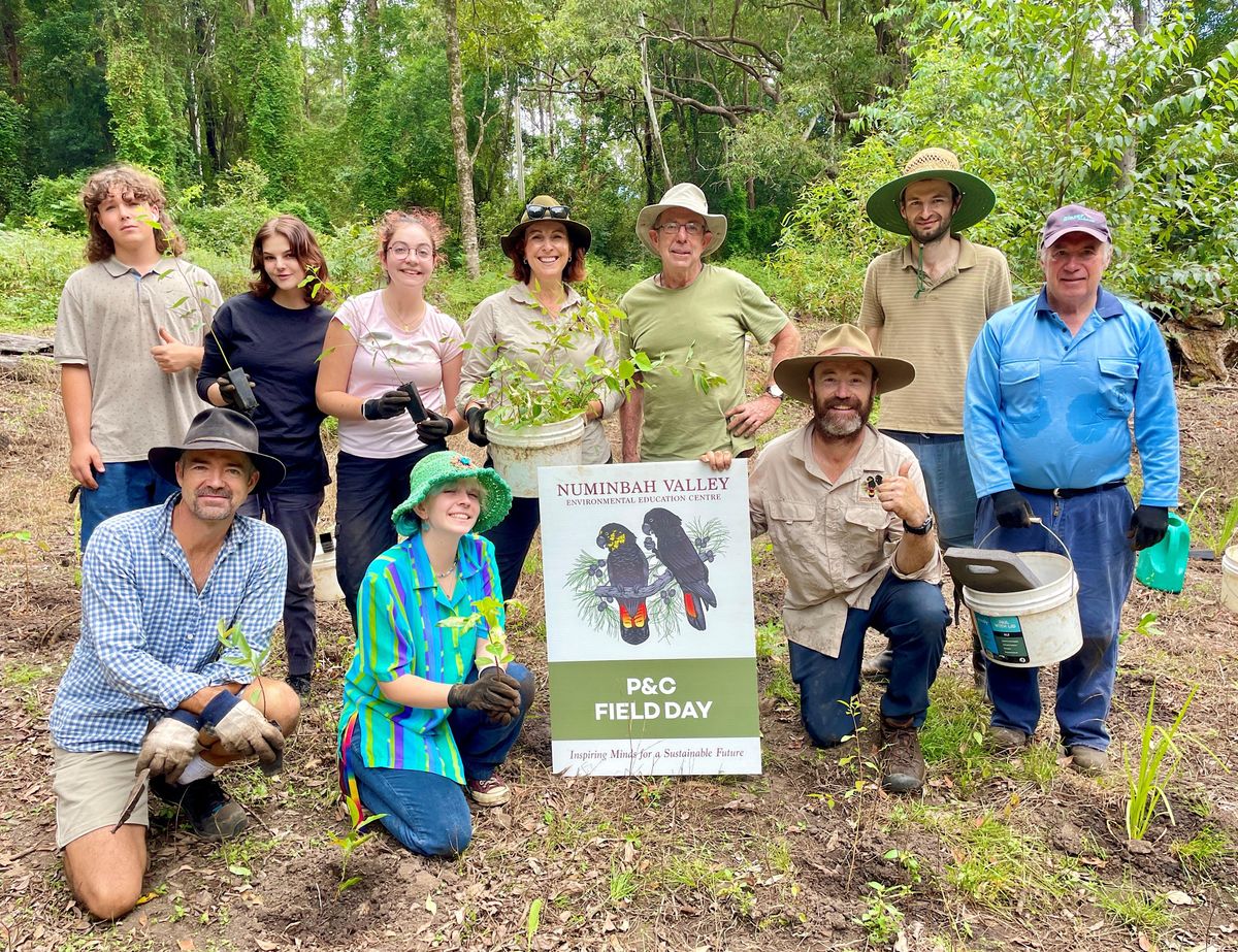 Holding Tight - Linking Springbrook and Lamington National Park, Gold ...
