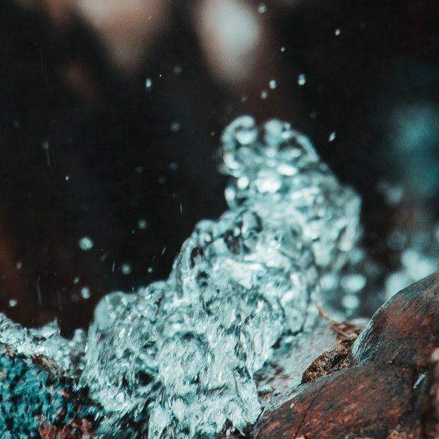 FJORD