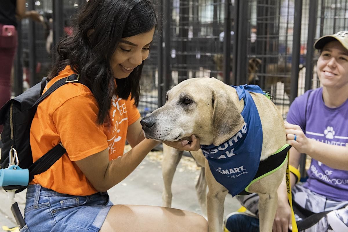 Best Friends Shelter Saturdays Adoption Event, 1312 Melissa Dr