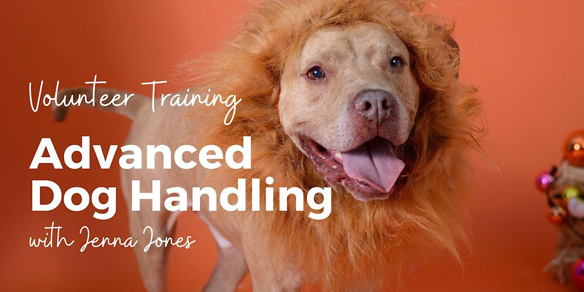 Behavior & Training Series Advanced Dog Handling Techniques, Broward