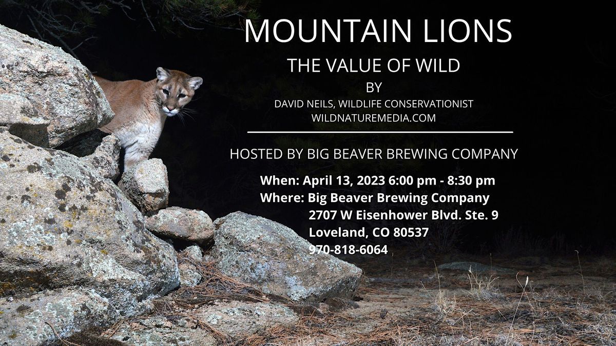 Mountain LionThe Value of Wild, Big Beaver Brewing Company LTD