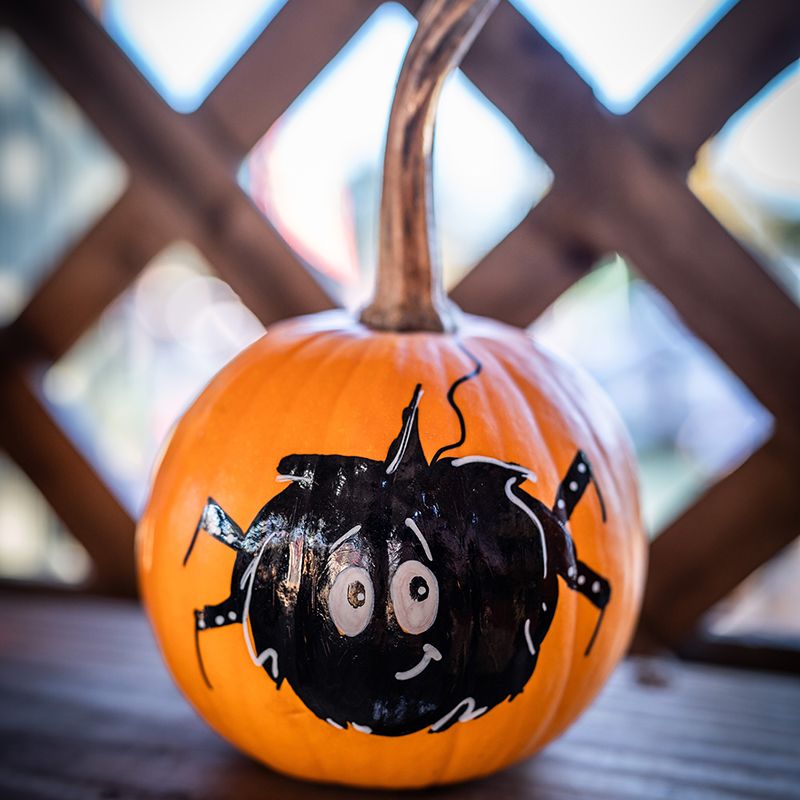 Happy Halloween, Reynolds Garden Shop & Floral Market, Manahawkin