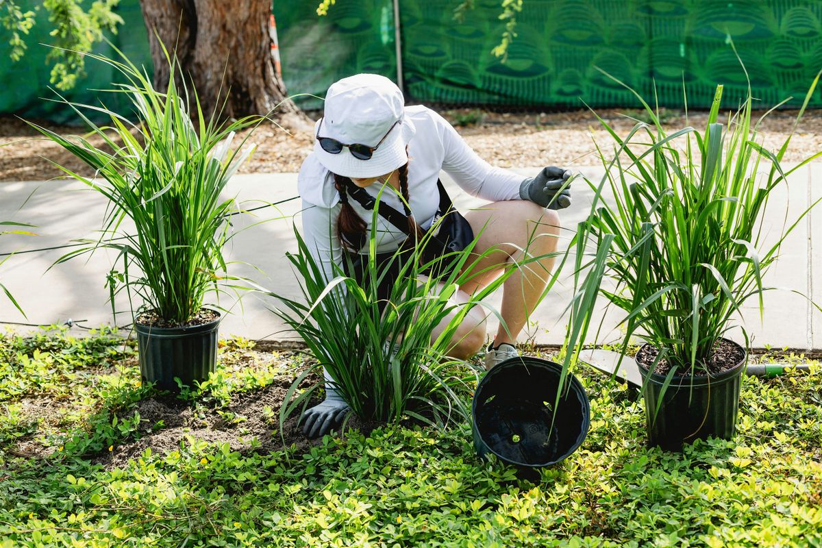 Day in the Dirt | Event in Miami | AllEvents