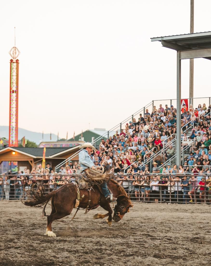 Bozeman Rance Rodeo Roundup Gallatin County Fairgrounds Bozeman 22 bozeman-rance-rodeo-roundup-gallatin-county-fairgrounds-bozeman-22