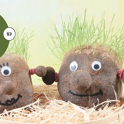 1pm-2pm Hairy heads @ Elizabeth Rise Community Centre, Elizabeth Rise ...