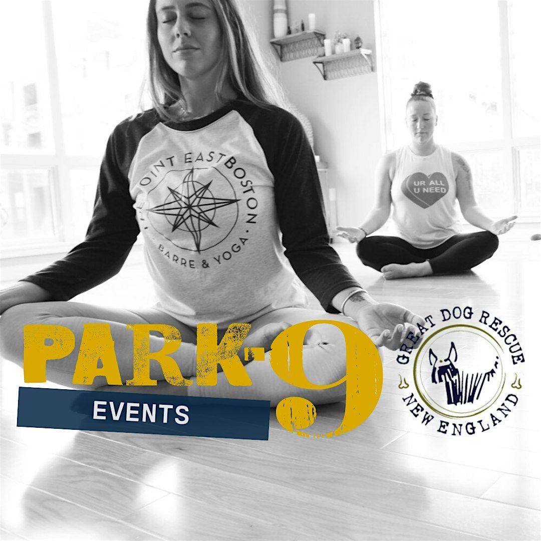 Park-9 Puppy Yoga with Great Dog New England Rescue and The Point EB | Event in Everett | AllEvents