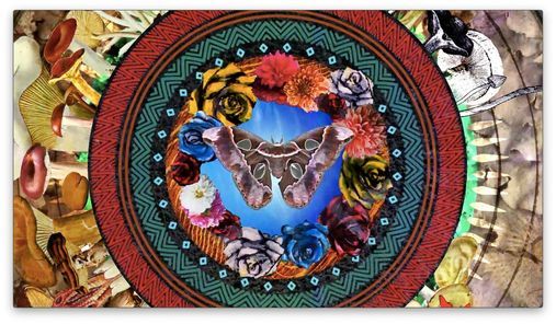 indigenous-peoples-day-celebration-first-unitarian-church-of