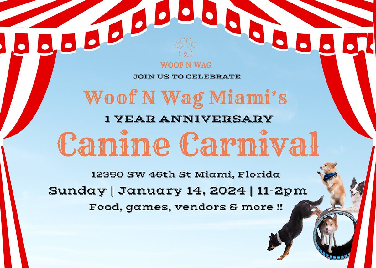 Woof N Wag 1 Year Anniversary Canine Carnival, Woof N Wag Miami ...