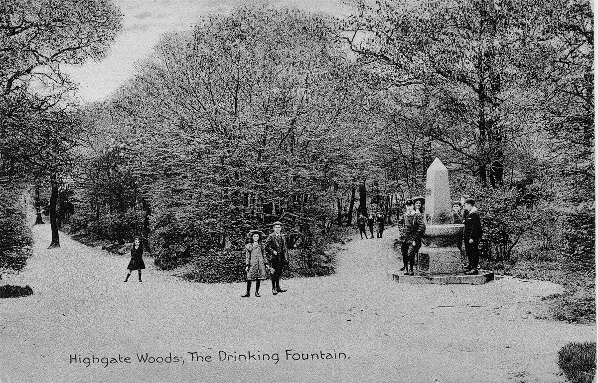 Highgate Wood Historical Walk, Highgate Wood, London, August 9 2023