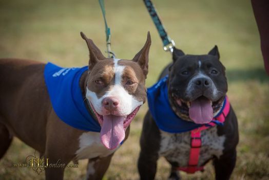 Halloween 2021 In Louisville Halloween 2021 Events Parties In Louisville Allevents In Louisville Halloween Events 2022