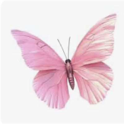 Precious in Pink Ministries logo