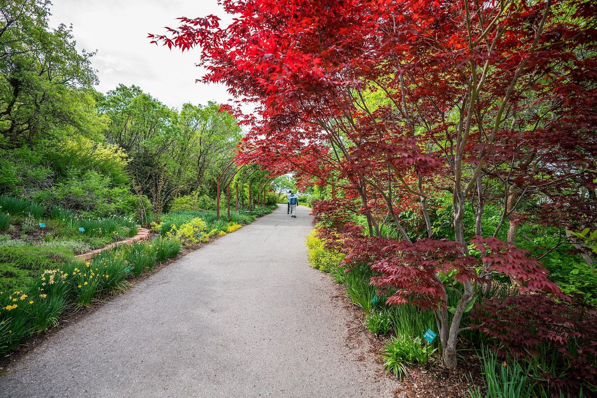 APC Advancement Training (South Jordan Health Center), U of U Health