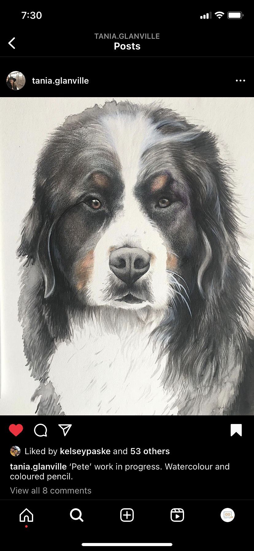 Paint n Sip Paint your Pet with Tania Glanville, 107 Reibey St