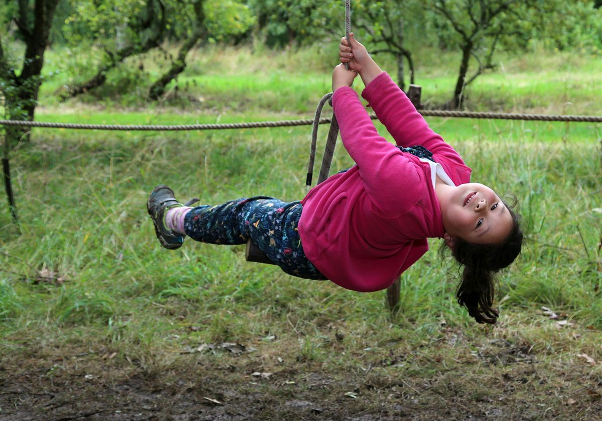 Chigwell Meadows Drop-off Day (Over 5s), Roding Valley Meadows Nature ...