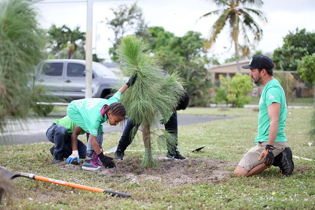 Boynton Beach Christmas Pageant 2022 Lds Hibiscus Park Planting | Volunteers, Hibiscus Park, Boynton Beach, March 19  2022 | Allevents.in