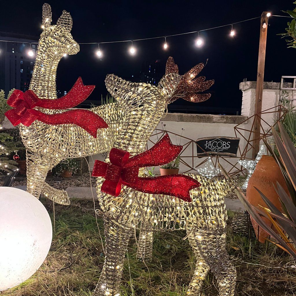 Rooftop coffee shop serving mulled wine and mince pies!, 11 December | Event in Cardiff | AllEvents