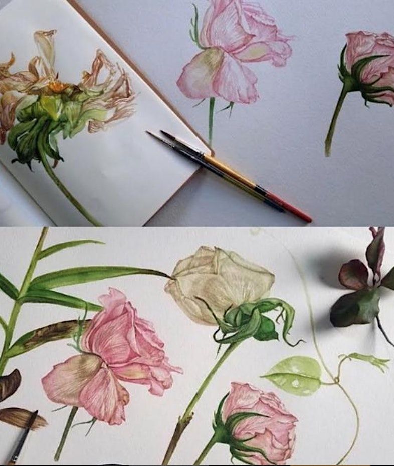 Botanical Drawing Class, 1 April 2023 | AllEvents.in