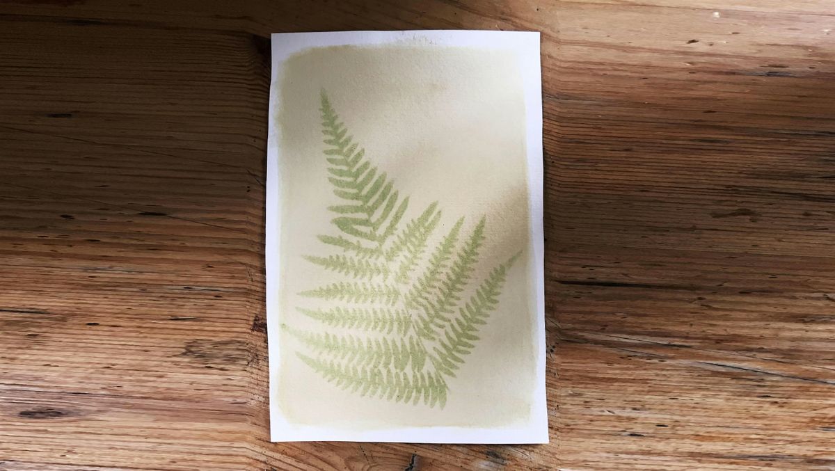 Anthotype printing, Kings Road Studios, Hastings, March 22 2024 AllEvents.in