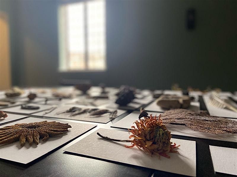 STUDY HALL (Open Studio) | Event in Cincinnati | AllEvents