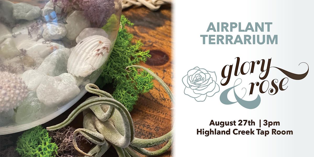 Airplant Terrarium Highland Creek Taproom, Highland Creek